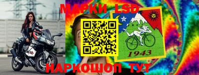 мдма Камышлов